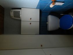 Photo n°6