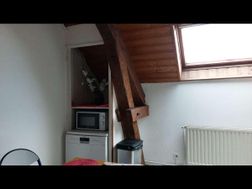 Photo n°14