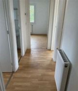 Photo n°4