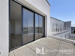 Photo n°6