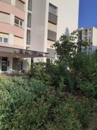 Photo n°6