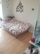 Photo n°3