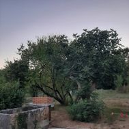 Photo n°2