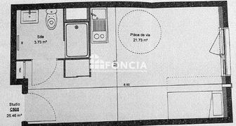 Photo n°5
