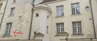 Photo n°5