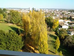 Photo n°3