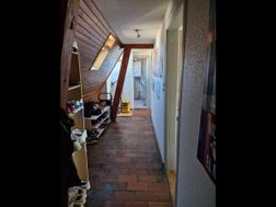 Photo n°6