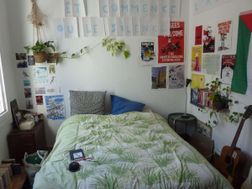 Photo n°3