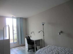 Photo n°6