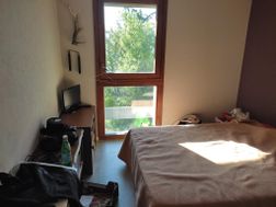 Photo n°1