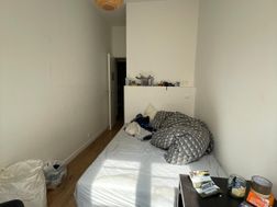 Photo n°5