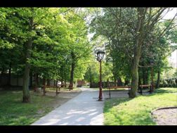 Photo n°6