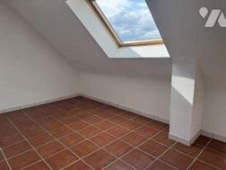 Photo n°6