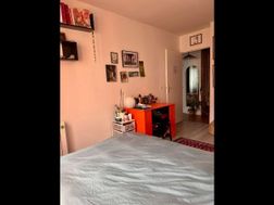 Photo n°6