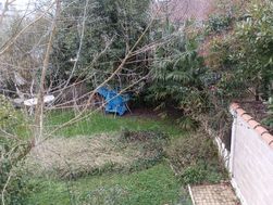 Photo n°3