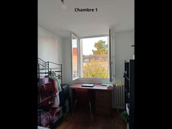 Photo n°8