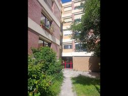 Photo n°2