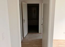 Photo n°6