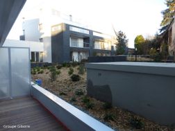 Photo n°6