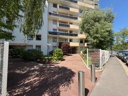 Photo n°6