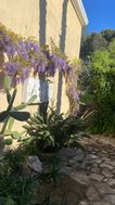 Photo n°2