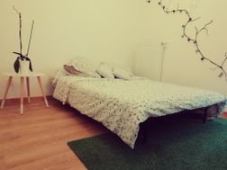 Photo n°5