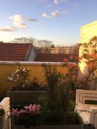 Photo n°6