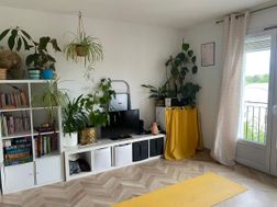 Photo n°6
