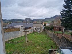 Photo n°3