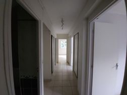 Photo n°4