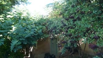 Photo n°3