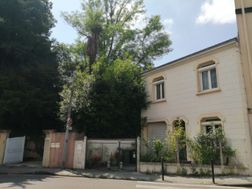 Photo n°1