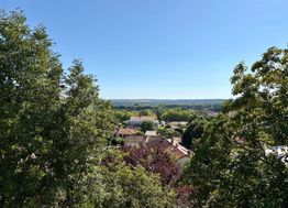 Photo n°9