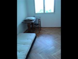Photo n°5