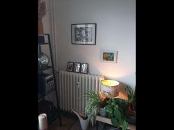 Photo n°3