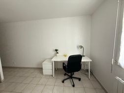 Photo n°5
