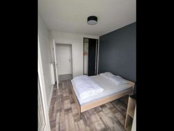Photo n°8