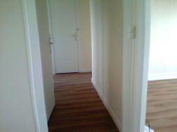 Photo n°3
