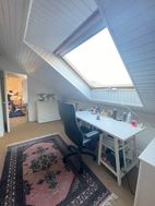 Photo n°4
