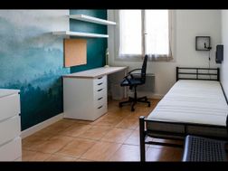 Photo n°1