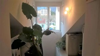 Photo n°3