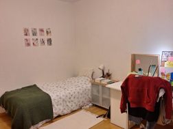 Photo n°1