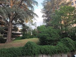 Photo n°2