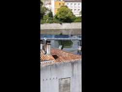 Photo n°8
