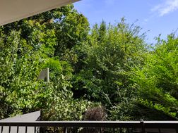 Photo n°6