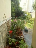 Photo n°4
