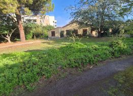 Photo n°1