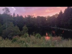 Photo n°4