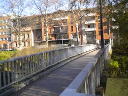 Photo n°6