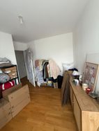 Photo n°5
